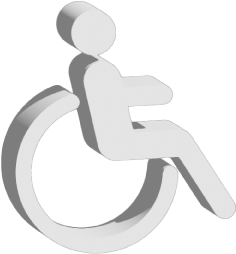 Handicapped person icon 3d